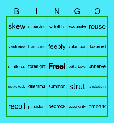 Storm Vocab Bingo Card