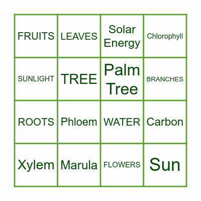 ARBOR DAY BINGO! Bingo Card