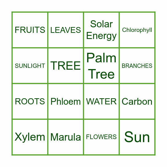 ARBOR DAY BINGO! Bingo Card