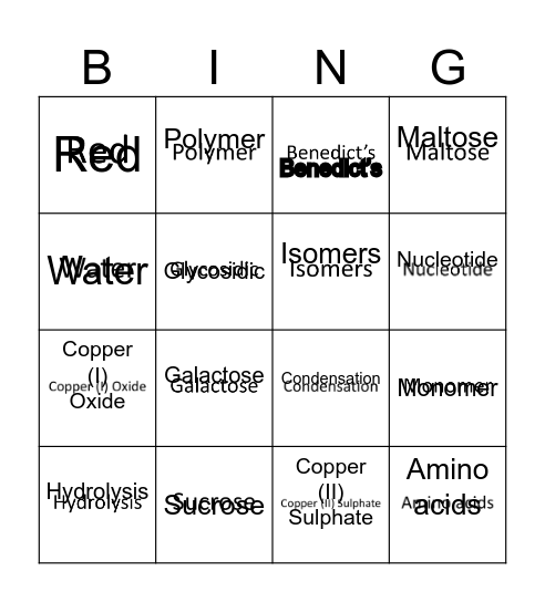 Biological molecules Bingo Card