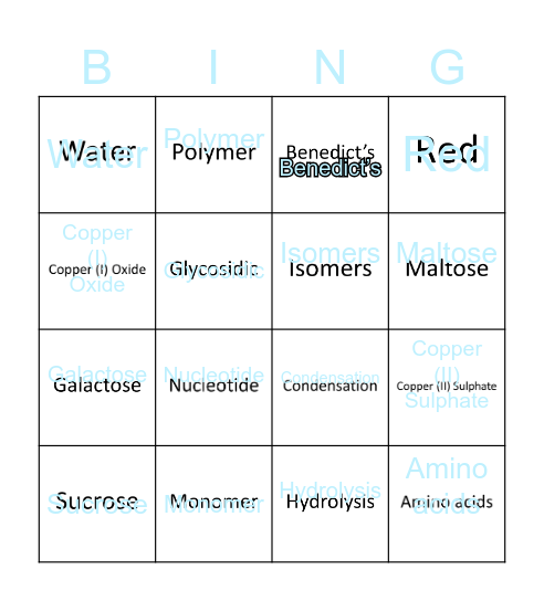 Biological molecules Bingo Card