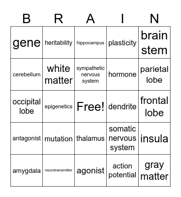 Brain Bingo Card