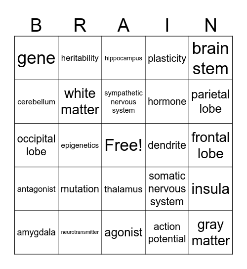 Brain Bingo Card