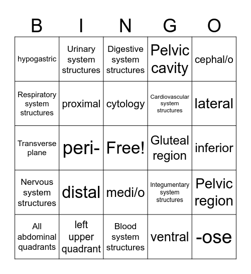 MedT Chapter 2 Bingo Card