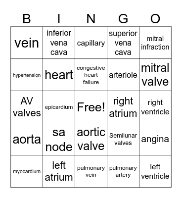 circulatory bingo Card