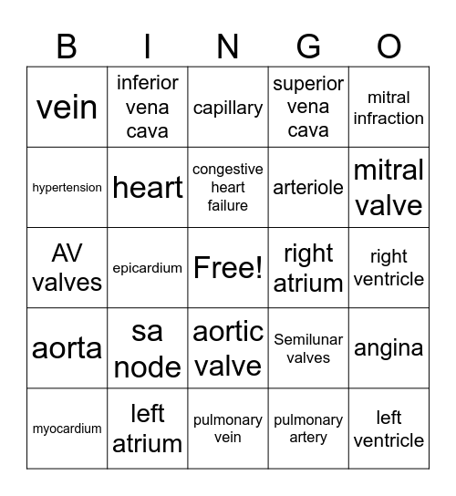 circulatory bingo Card