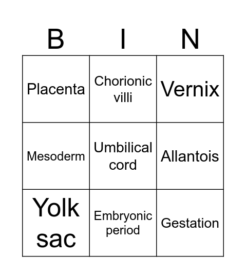 Year 11 Human Biology (ATAR) Pregnancy Bingo Card