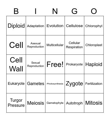 Amlung Biology Vocab Review Bingo Card