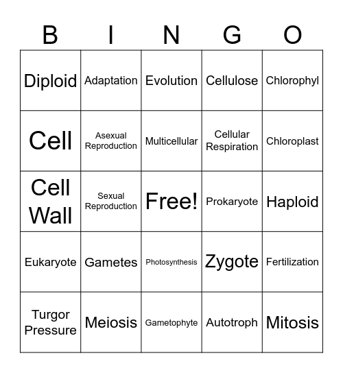 Amlung Biology Vocab Review Bingo Card