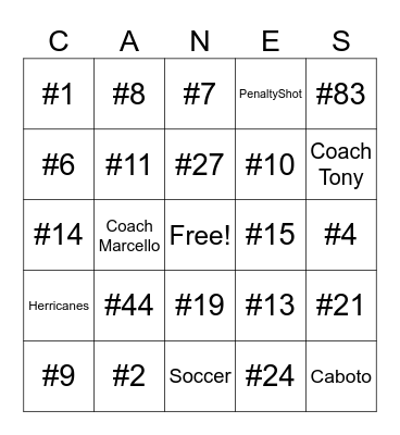 Herricanes Bingo Card