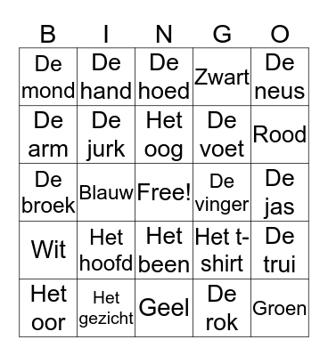lichaam/kleding/kleuren Bingo Card