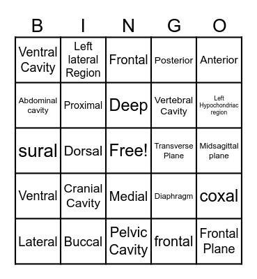 Language of Anatomy Bingo Card
