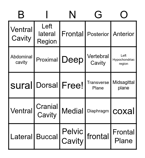 Language of Anatomy Bingo Card