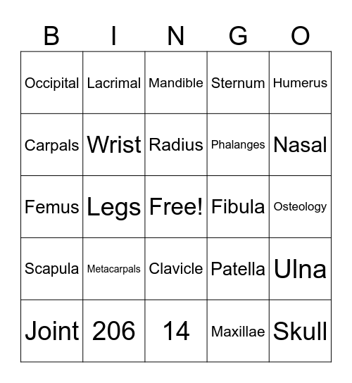 SKELETAL SYSTEM Bingo Card