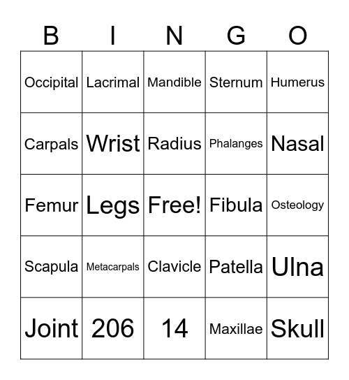 SKELETAL SYSTEM Bingo Card