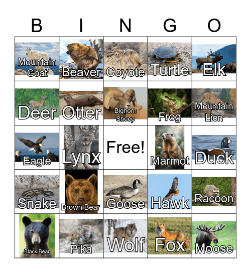 GNP Animal Bingo Card