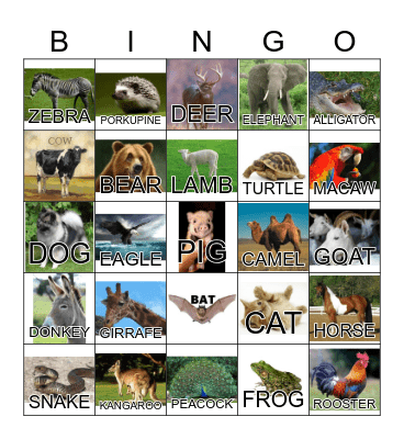EAW - ANIMAL BINGO Card