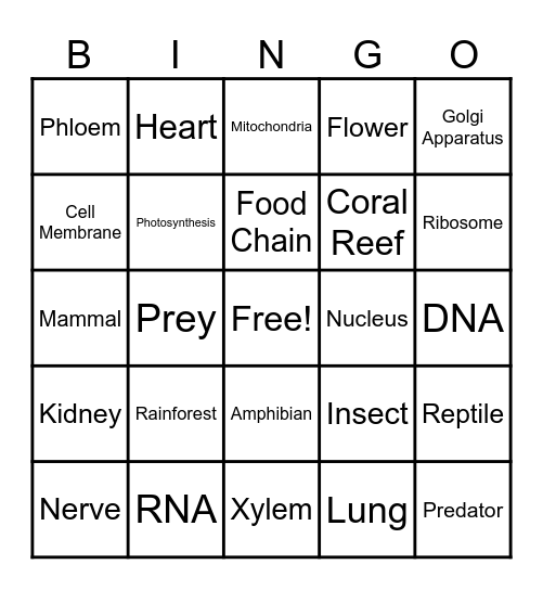 Biology Bingo Card