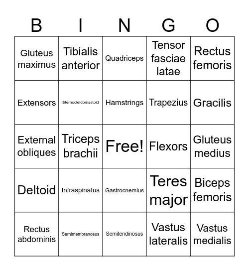 Muscles Bingo Card