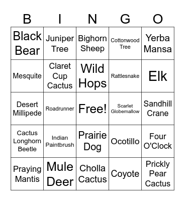 Climax Canyon Bingo Card