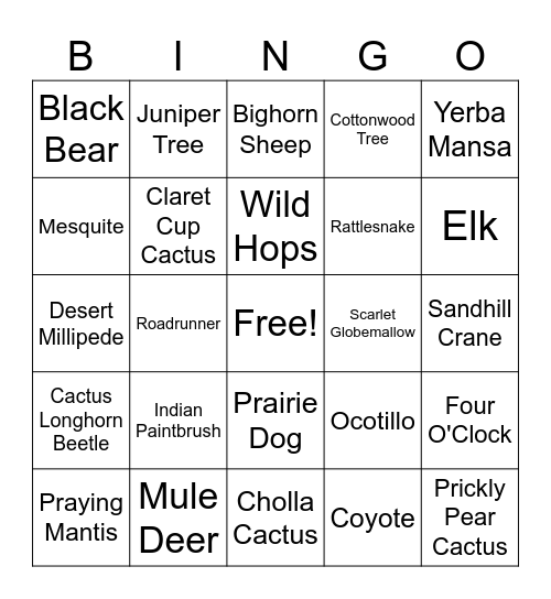 Climax Canyon Bingo Card