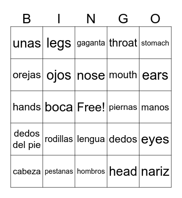 human body parts spanish vocab Bingo Card