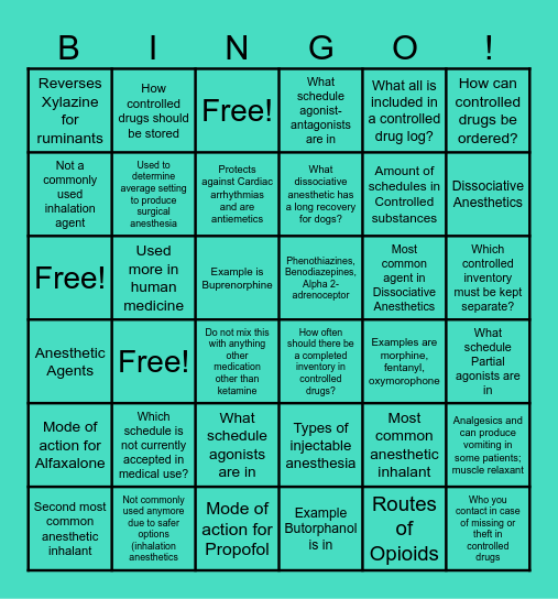 VTN 3070 Bingo Card