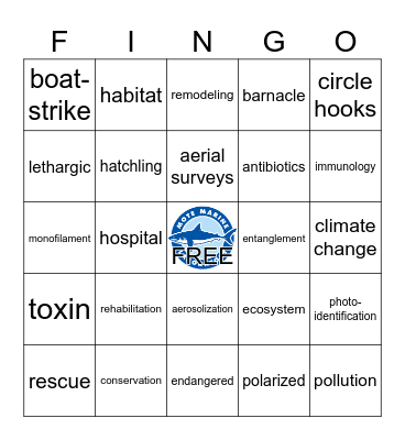 SEA: Marine Animal Rescue & Rehabilitation Bingo Card