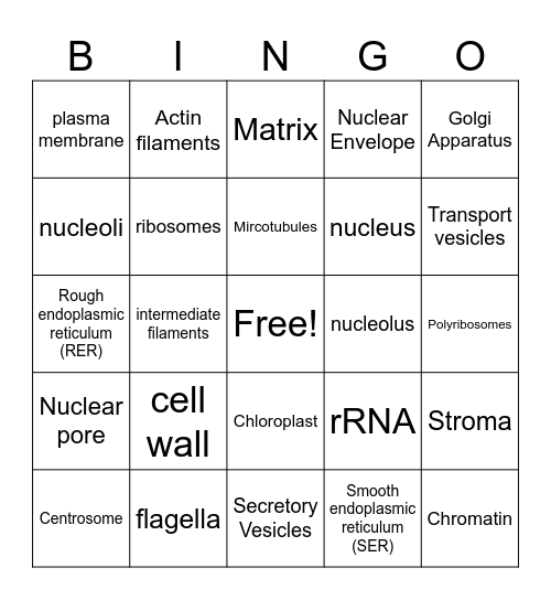 Protein Production Bingo Card