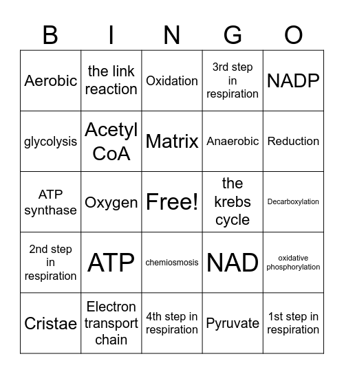 Mrs Scott's Respiration Bingo Card