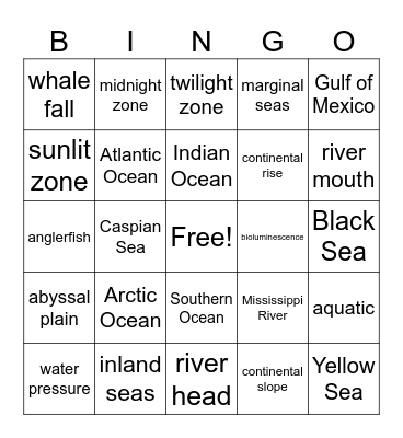 Zoology Lesson 1 Bingo Card