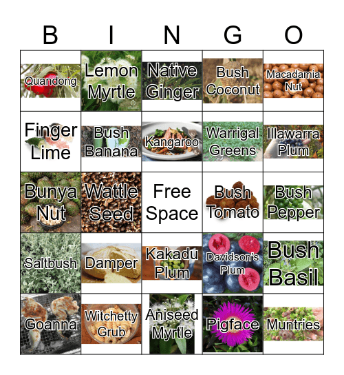 Bush Tucker Bingo! Bingo Card