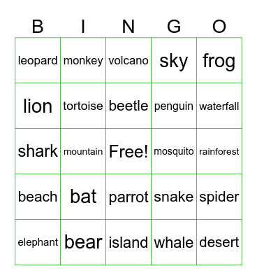 Vocabulary - U6 Bingo Card