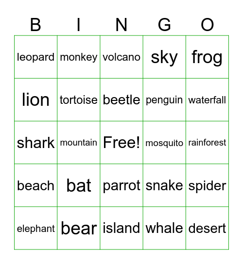 Vocabulary - U6 Bingo Card