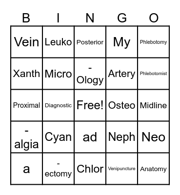6th Grade Medical Terminology Bingo Card