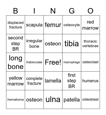 Skeletal System Bingo Card