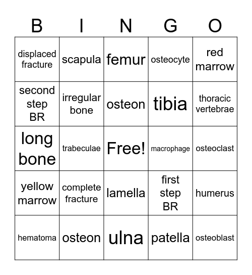 Skeletal System Bingo Card