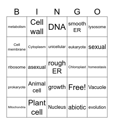 Cells and Functions Bingo Card