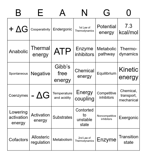 METABOLISM Bingo Card