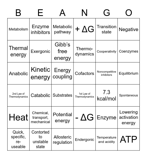 METABOLISM Bingo Card