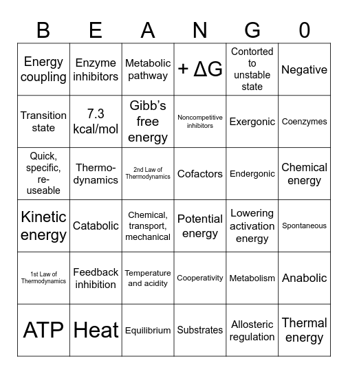 METABOLISM Bingo Card