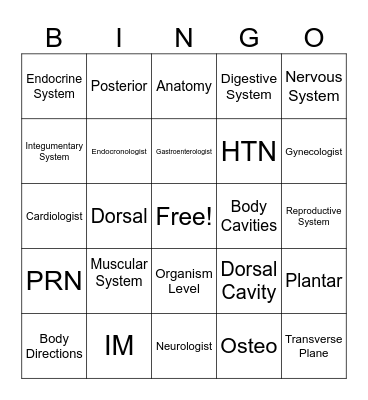 Medical Terminology Bingo Card