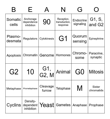 CELL COMMUNICATION AND CELL CYCLE Bingo Card
