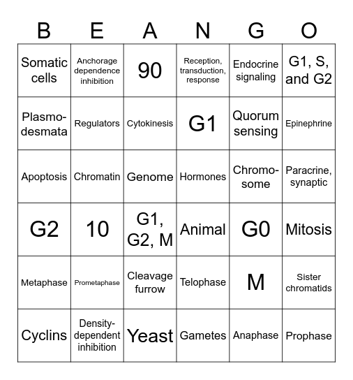 CELL COMMUNICATION AND CELL CYCLE Bingo Card