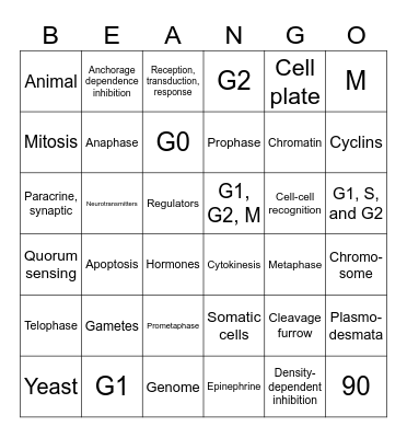 CELL COMMUNICATION AND CELL CYCLE Bingo Card