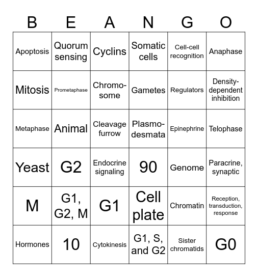 CELL COMMUNICATION AND CELL CYCLE Bingo Card