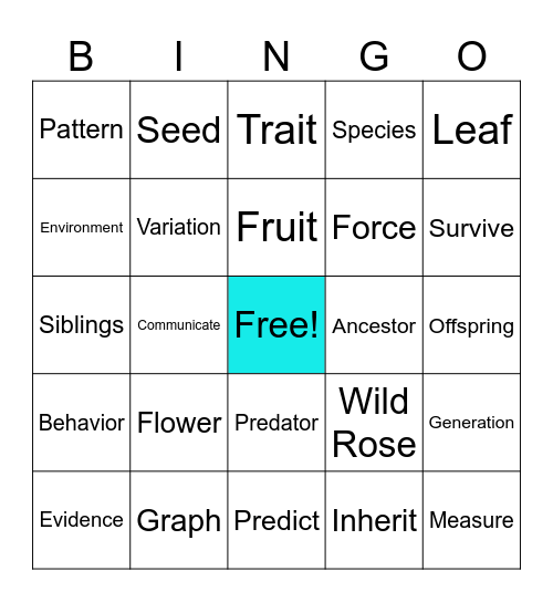 Science Bingo Card