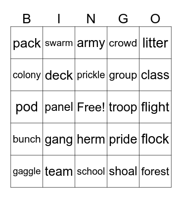 Collective Nouns Bingo Card