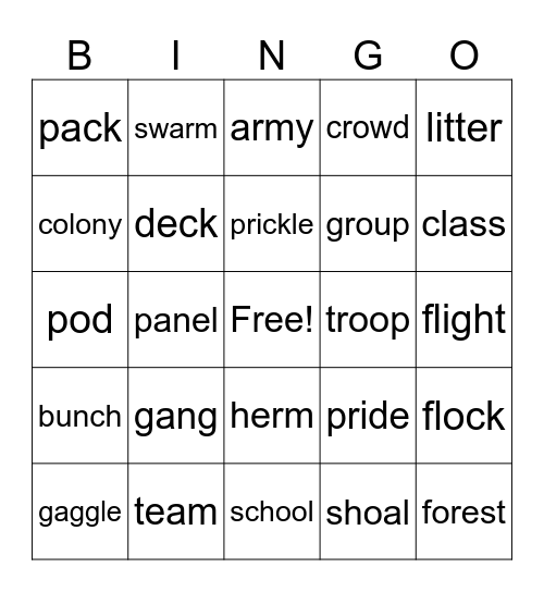 Collective Nouns Bingo Card