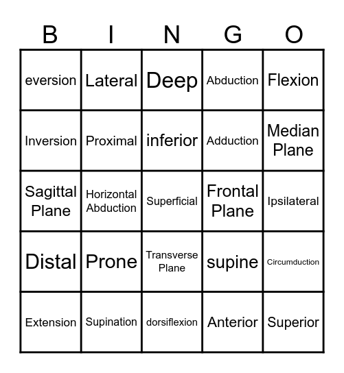 Directional terms and body planes Bingo Card